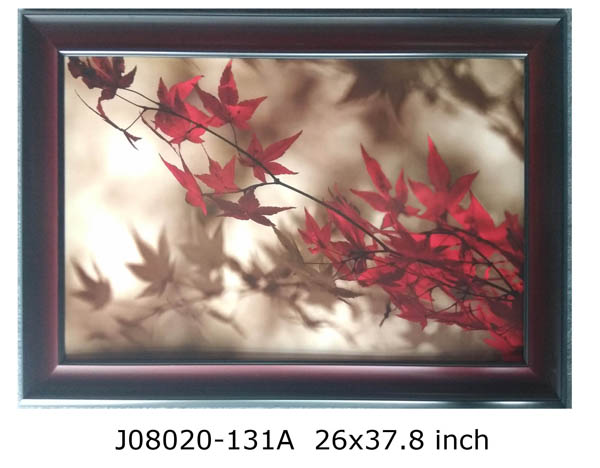 Framed Maple Leaves